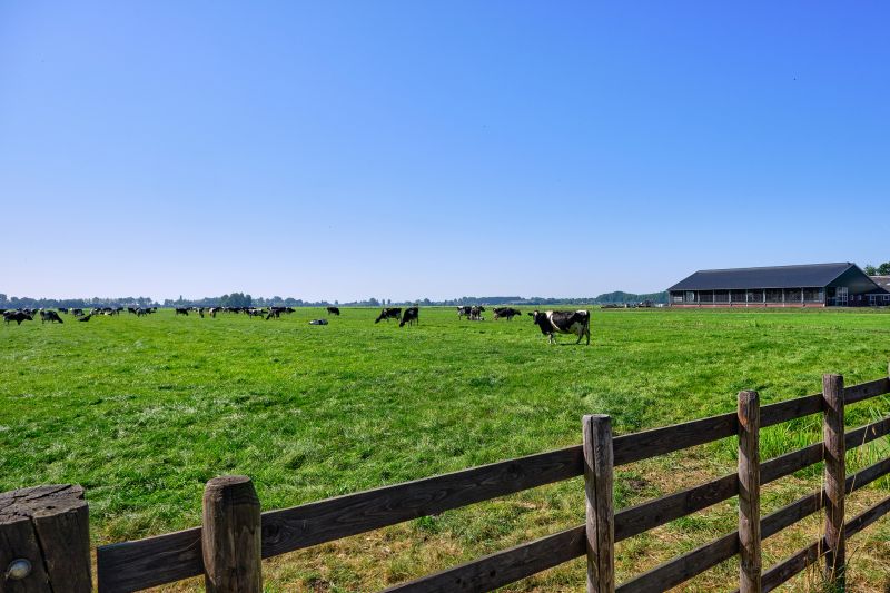 Contact About Pasture Fencing Service