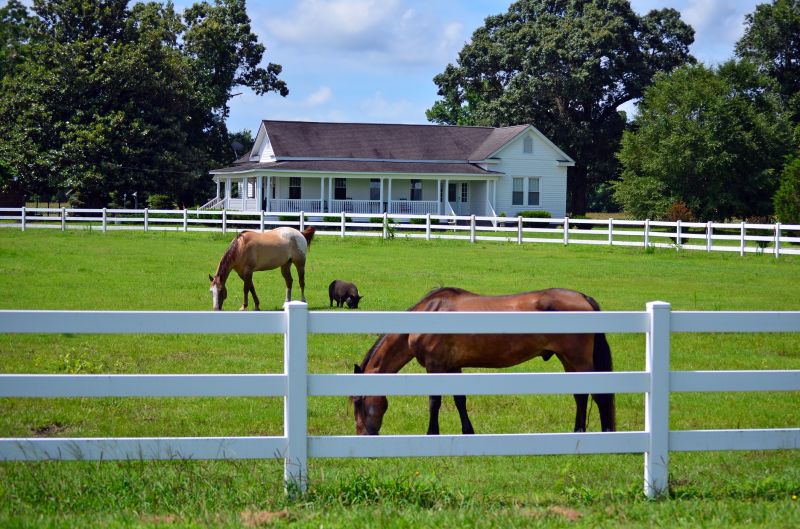 Pasture Fencing Service