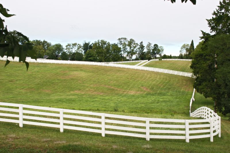 Pasture Fencing Service