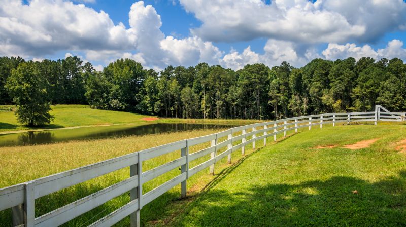 Pasture Fencing Service detail