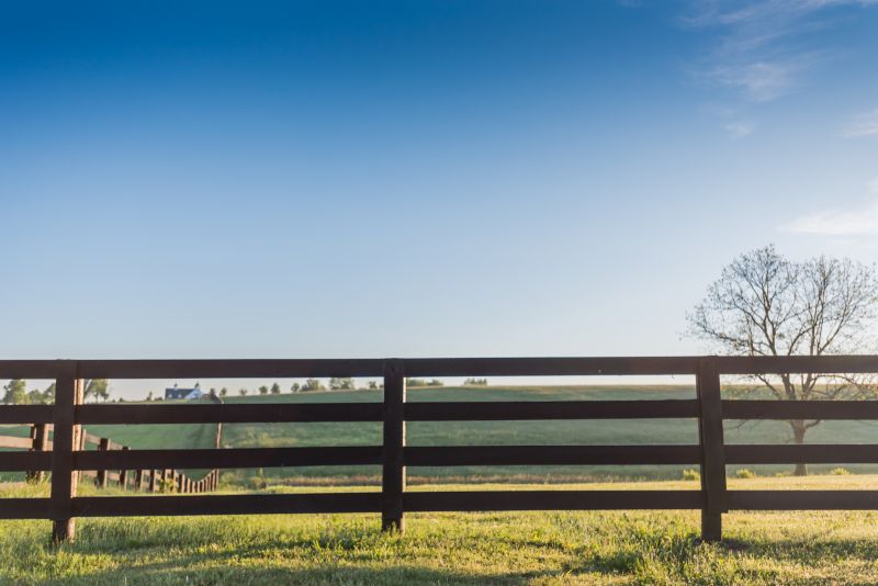 Pasture Fencing Service detail