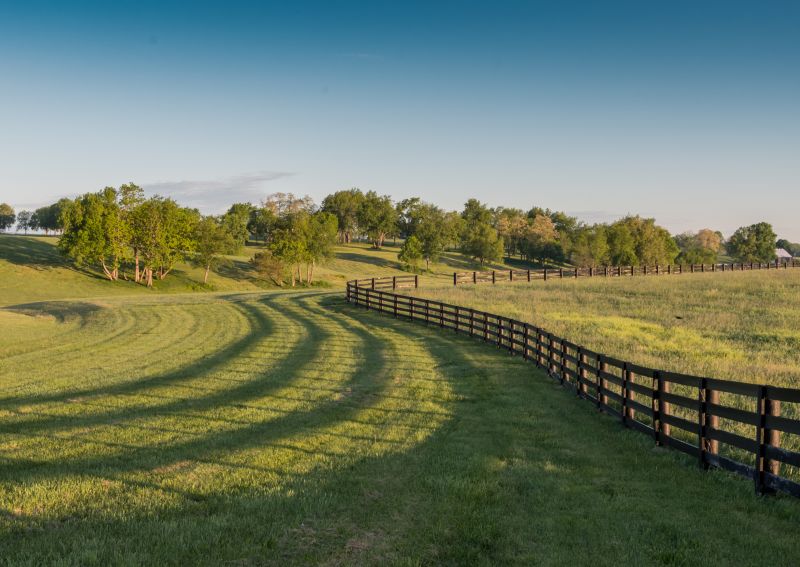 Pasture Fencing Service