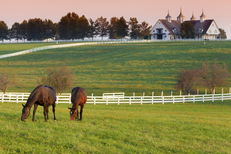 Stable Fencing Installation in Pearland, TX